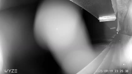 2025-09-20