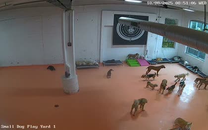 2025-10-08