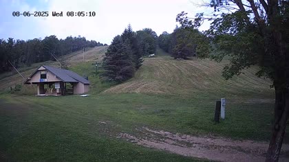 2025-08-06