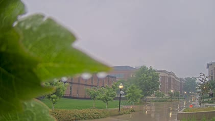 2025-06-03