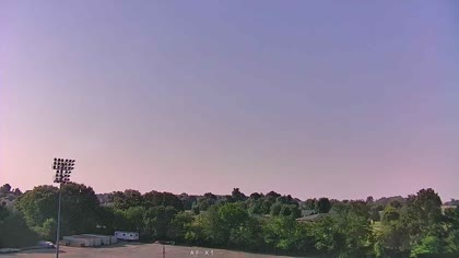 2025-08-03