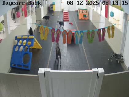 2025-08-12