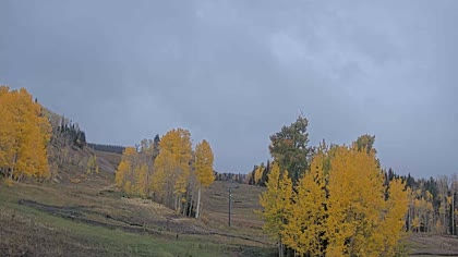 2025-10-10