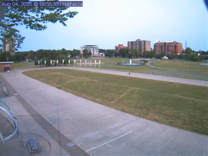 2025-08-04