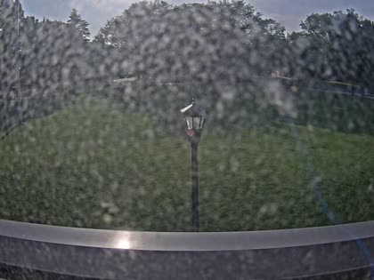 2025-06-05