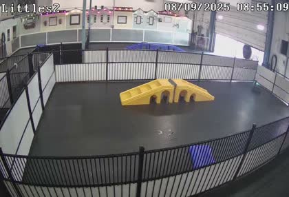 2025-08-09