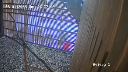 2025-06-01
