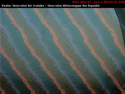 2025-06-23