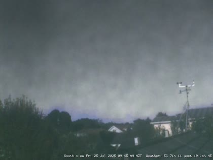 2025-07-24