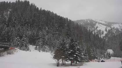 Missoula - Montana Snowbowl, Montana (USA) - Webcams