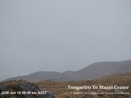 2026-06-15