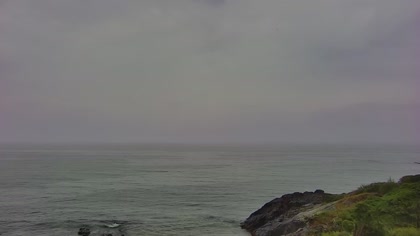 2025-08-01