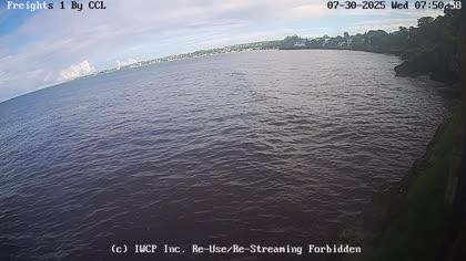 2025-07-30