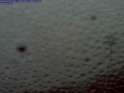 2025-10-07