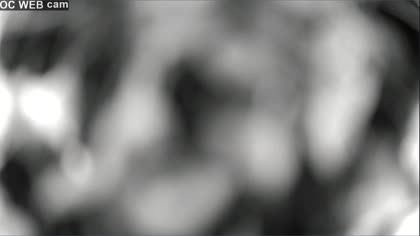 2025-07-06