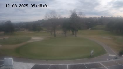 2025-08-12