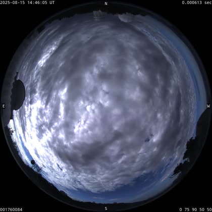 2025-08-15