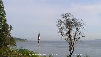 2025-06-06