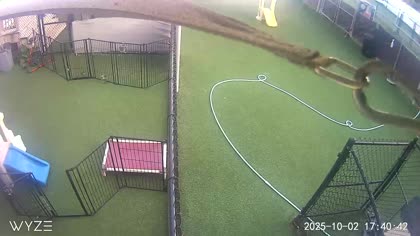 2025-10-03