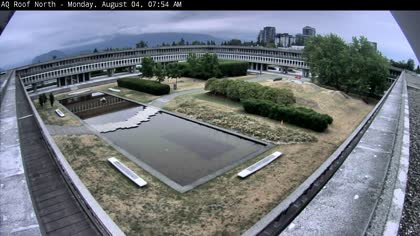 2025-08-04