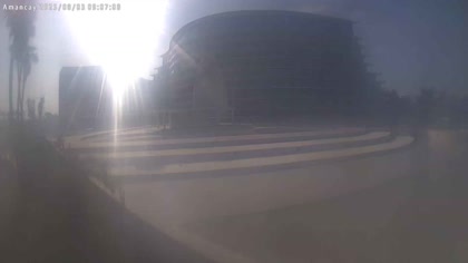 2025-08-03
