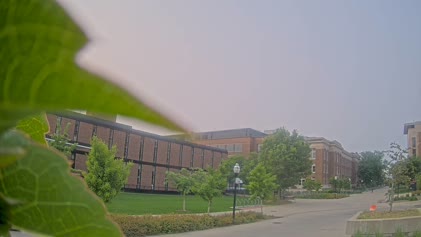 2025-06-01