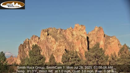 2025-07-28