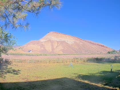 2026-06-11