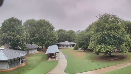 2025-08-11
