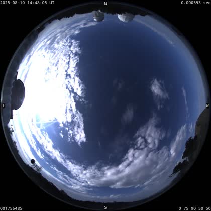 2025-08-10