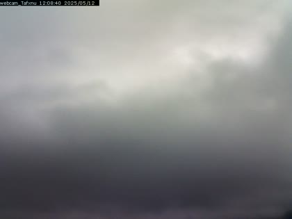 2025-05-12