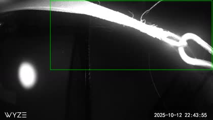 2025-10-13