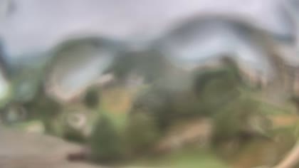 2025-07-04