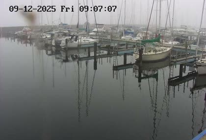 2025-09-12