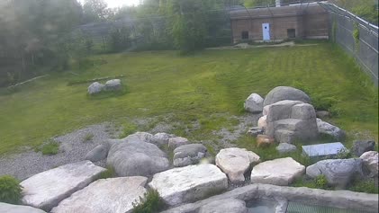2025-06-16