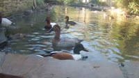 Shreveport - Pinola Conservancy's Aviary