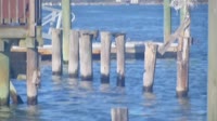 Long Beach - Reynolds Channel