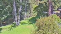 Big Sur - Big Sur River Inn
