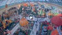 Las Vegas - Bellagio Conservatory