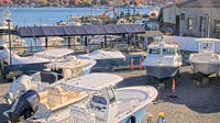 Niantic - Boats Inc Marina