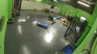 Minneapolis - Fun City Dogs