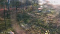 Ely - North American Bear Center
