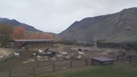 Cascade - Flying B Ranch