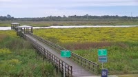 Beaumont - Cattail Marsh