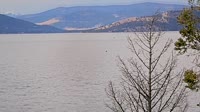 Polson - Flathead Lake