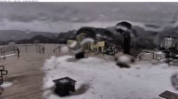 Alpine Meadows