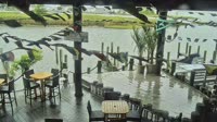 Long Neck - Paradise Bar & Grille
