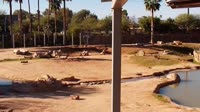Tucson - Reid Park Zoo