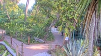 Bonita Springs - Wonder Gardens
