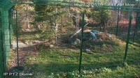 Ely - North American Bear Center